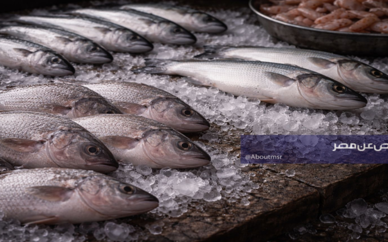 أسعار الأسماك اليوم تزامناً مع شم النسيم.. كم سعر البلطي في سوق العبور؟